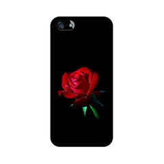 Rose Mobile Cover For Apple iPhone 5