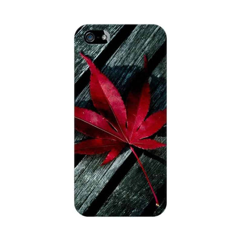 Leaves Wallpapers Mobile Cover For Apple iPhone 5